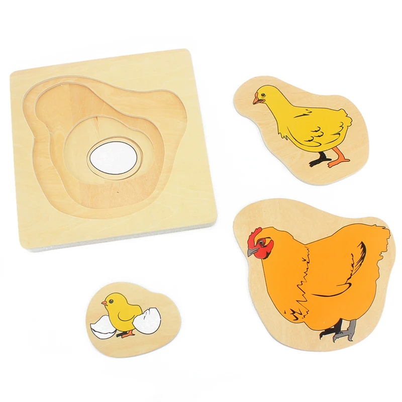 Kids Montessori Wooden Toys 3D Puzzle Life Cycle of Animals Plant Chock Frog Butterfly Sunflower Man Woman Baby Toy for Infant