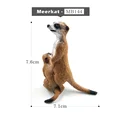Meerkat