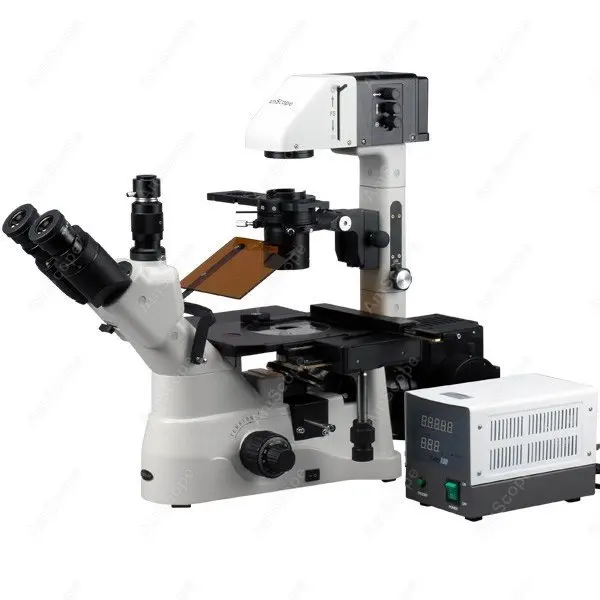 EPI Fluorescence-AmScope Supplies 40X-900X Phase Contrast Fluorescence Inverted Microscope SKU: IN480TA-FL