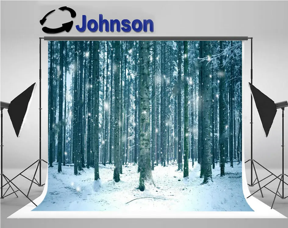 

Winter Woods Season Forest Landscape Birch Tree Snowflakes background Computer print scenic photo backdrop