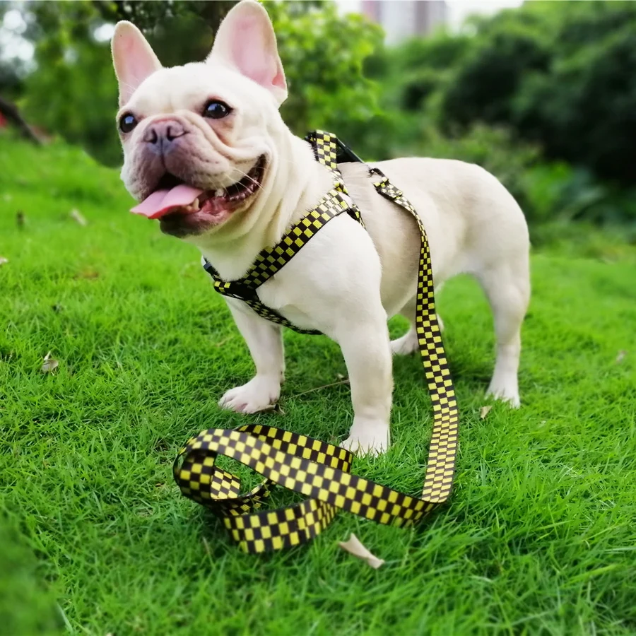 No Pull Dog Harness Adjustable Basic Nylon Step in Puppy Vest Outdoor Walking Training Small medium pet dog harness vest