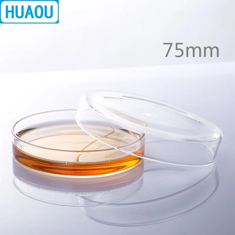 HUAOU 75mm Petri Bacterial Culture Dish Borosilicate 3.3 Glass Laboratory Chemistry Equipment