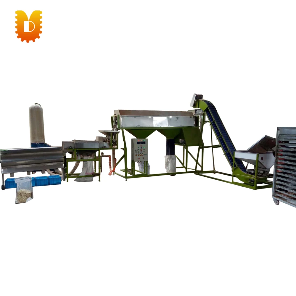 Hazelnut peeling production line /Roasted hazelnut skins peeling production line/Automatic hazelnut peeling production line