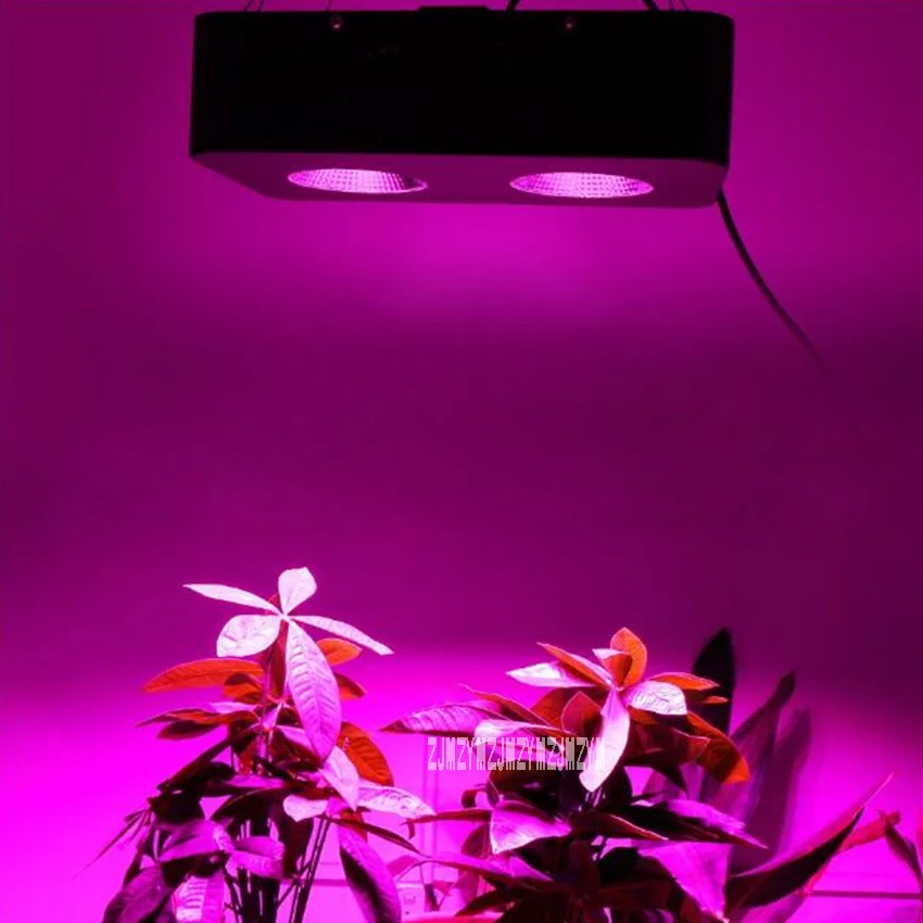 85-265V COB-500W LED تزايد مصابيح نمو النبات الإضاءة 2-حفرة المتكاملة عاكس مصنع أدى ضوء نبات داخلي متزايد 5000lm