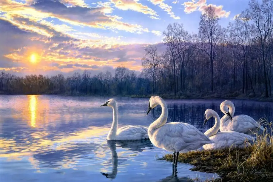 Swan Lake wooden puzzle 520 pieces of wood of adult heart disease mental funeral spree pollution erhu eggs