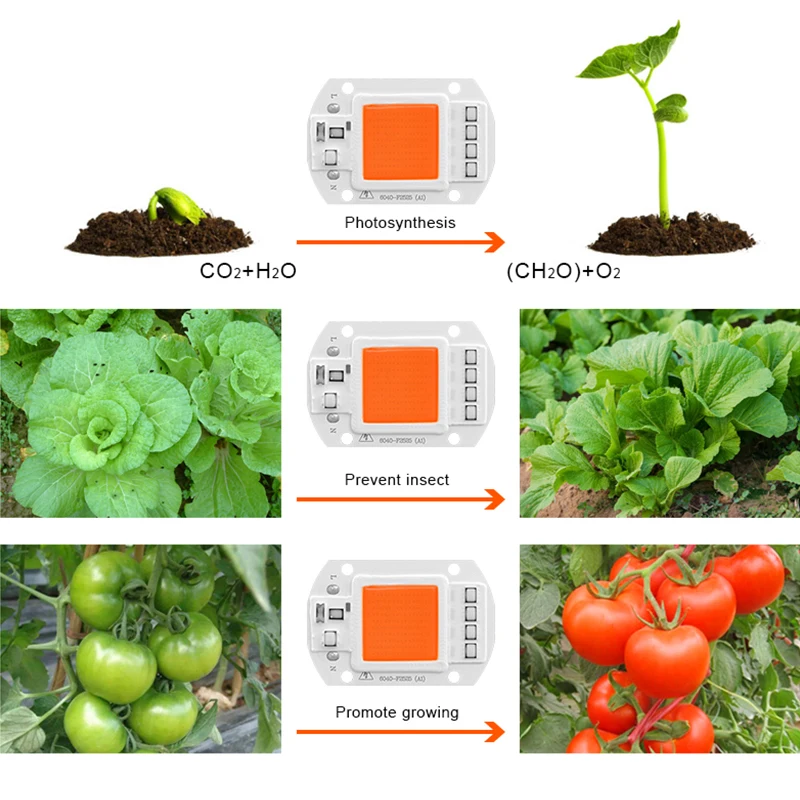 Lâmpada led de crescimento rápido com chip cob, espectro completo ac220v 110v 10w 20w 30w 50w para florescimento de plantas internas, fitolamp para