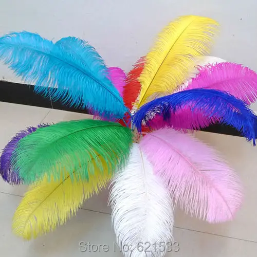 500pcs/lot 20-22inch perfect Dyed Ostrich feathers,hair accessories feather,fashion accessories,10Colours