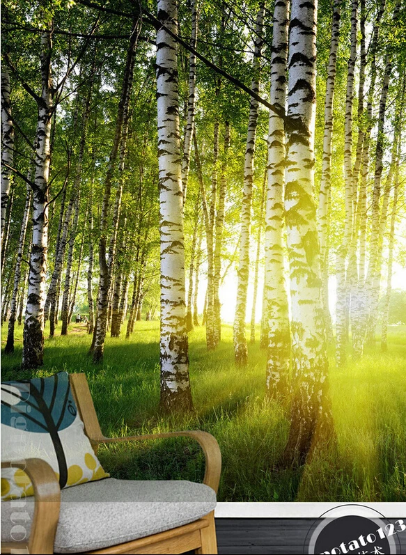 

The latest 3D murals,The birch forest grassland landscape in the sunshine. Living room sofa TV wall children bedroom wallpaper.