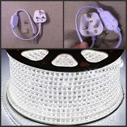 LED Strip 220V 240V IP67 Waterproof 5050 SMD tape Lights Rope Warm White Blue Yellow Green Red + UK Power Plug