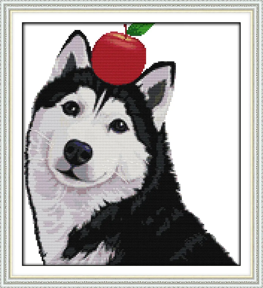 Apple huskies cross stitch kit animal dog Pattern printed on canvas fabric DMC embroidery handmade needlework craft supplies