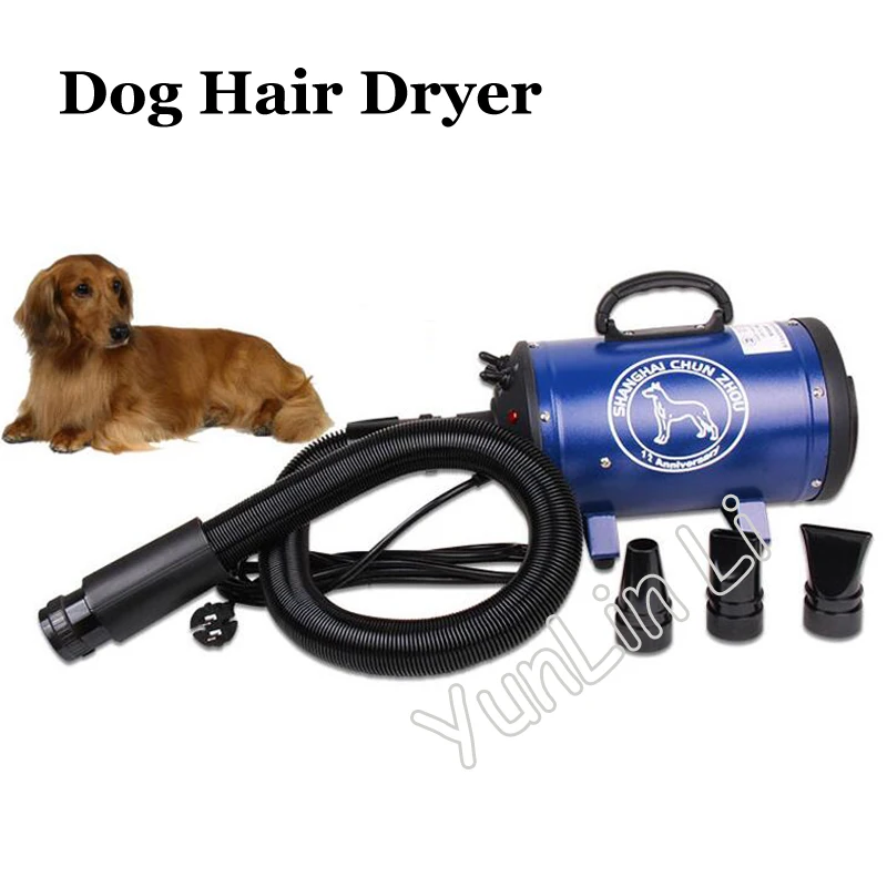 Compresor de secador de pelo eléctrico para mascotas, soplador de aseo para perros y gatos, viento cálido, pequeño, mediano y grande