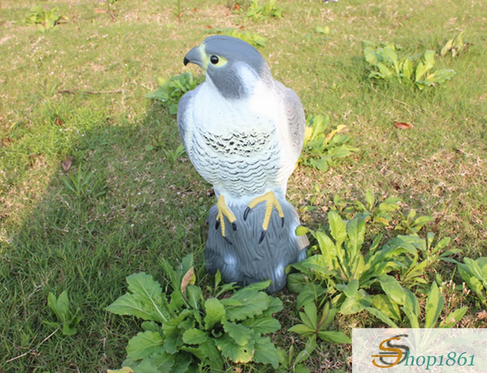 Hunting Birds Decoys Falcon Bird Scare Motionless Garden Plastic Pest Control Care Deter Scarer Defenders Standing Hawk Decoys