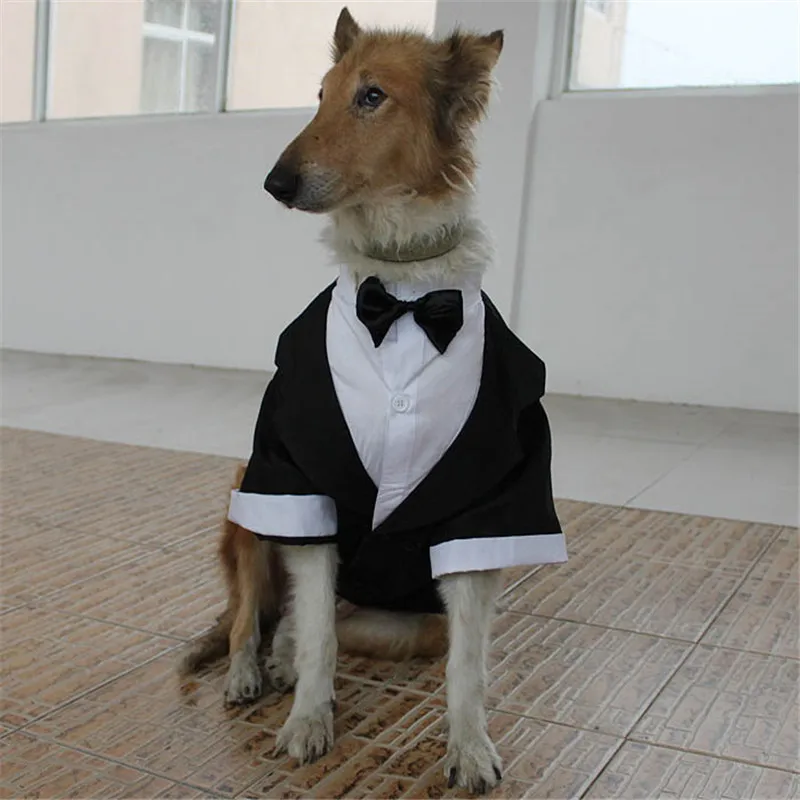 

New Large Dog Suit Big Pet Formal Wear Clothes Gentleman Swallow-tailed Jacket Giant Dog Tuxedo Wedding Dress Male Business Suit