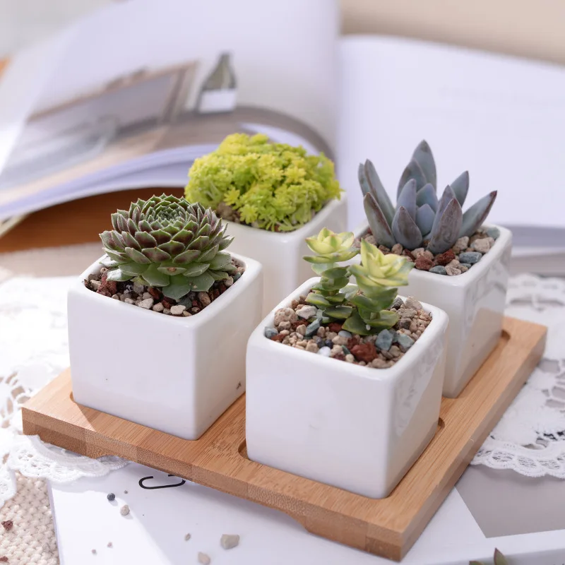 Set of 4pcs Minimalist Cube Flowerpots White Ceramic Succulent Planter Pot with Bamboo Stand for Cactus Mini Bonsai