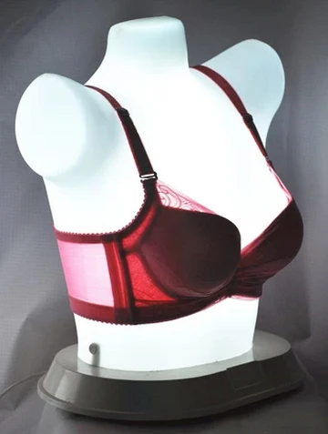 

New Fashion Female Underwear Dispaly Chest Mannequin Lingerie Mannequin For Display Bra
