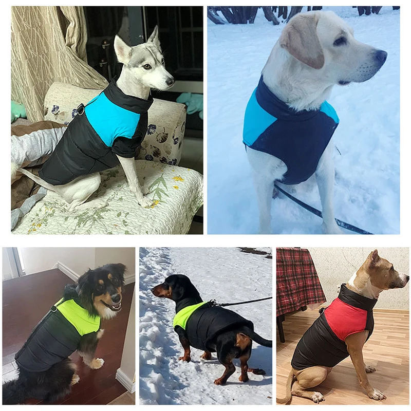 Winter Haustier Hund Kleidung warme große Hund Mantel Welpen Kleidung wasserdichte Haustier Weste Jacke für kleine mittelgroße Hunde Golden Retriever – Detail 3