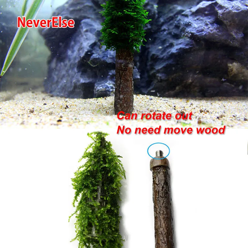 Aquarium Grass Plant Model DIY Moss Ball/Mesh/Christmas Tree Shape Fish Tank Aquatic Decoration Ornament Easy to Grow Landscape - Image 3