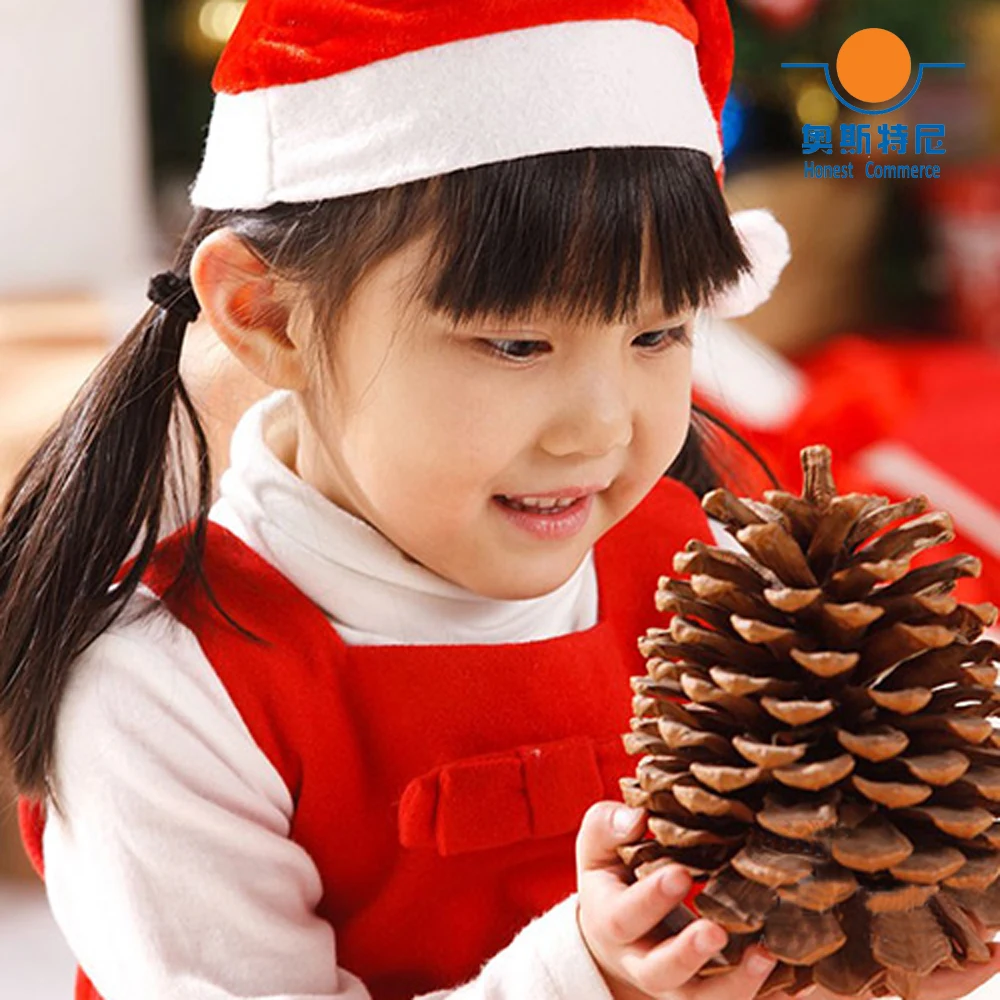 8pcs 12-14cm big size natural Christmas decoration big pine cones