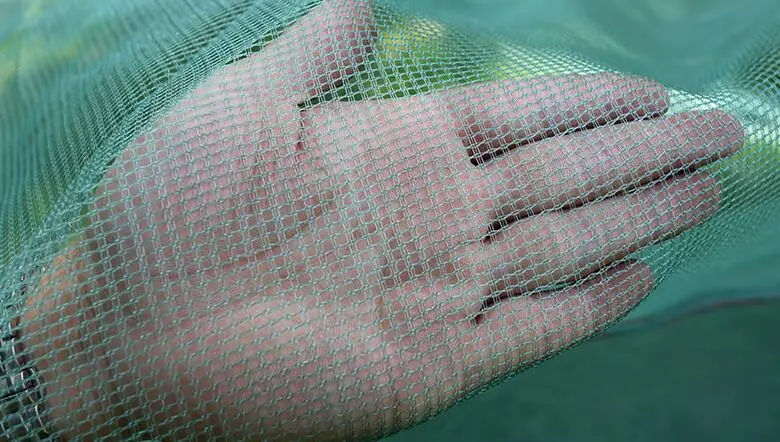 Small Mesh Catch Fishing Net Box, Aquaculture Pond Fish Farming Net Cage, Square Aquarium Trap