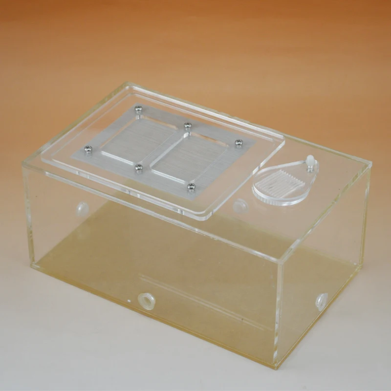 

CWXTGS 1PCS acrylic cylinder feeding box reptile insect breeding box insect box spider scorpion breeding