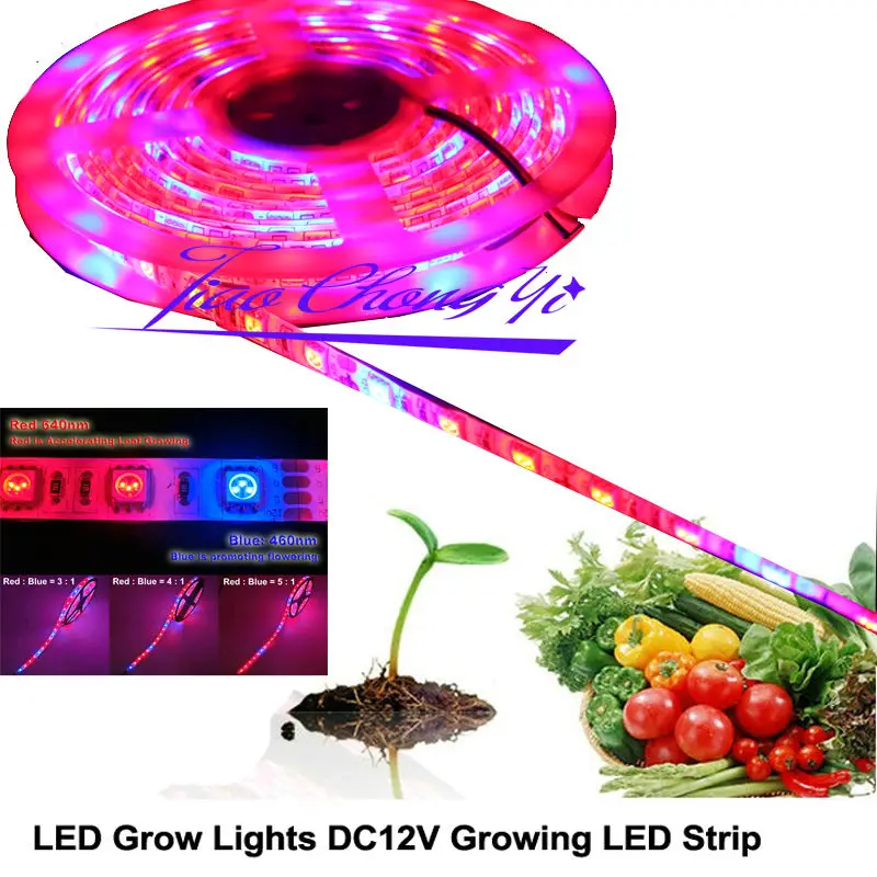 5M 5050 Red 4LED +Blue 1LED LED Light Strip Lamp For Indoor Plants Flower Plant