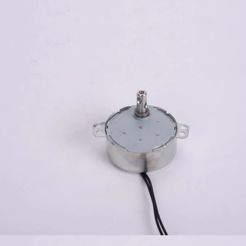 TYC-50 AC 비 방향 영구 자석 저속 동기 모터, 유도 밥솥 조명 조명기구 미니어처 기어 모터