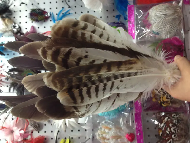 Wholesale perfect  52pcs  Rare  high quality natural Owl tail feathers 10-16inch/25-40cm  Decorative diy
