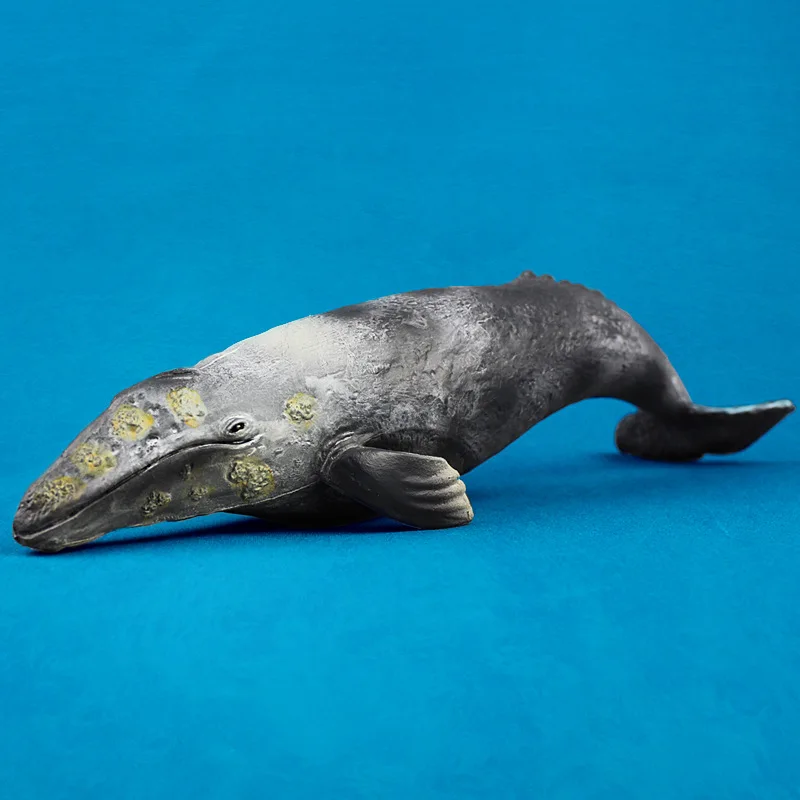 Sealife Oceanarium Wild Animals Gray Whale Figurine Kids Educational Toys for Children