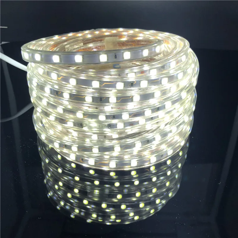 Tira de luces LED Flexible IP67 5050 AC220V 60leds/m cinta de luz LED impermeable IP67 con enchufe de alimentación de la UE 1M/2M/3M/5M/10M/15M/20M