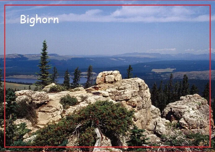 

USA Travel Magnets Gifts Bighorn National Forest Wyoming Keepsake Travel Refrigerator Magnets 20490 Rectangle 78*54*3 mm