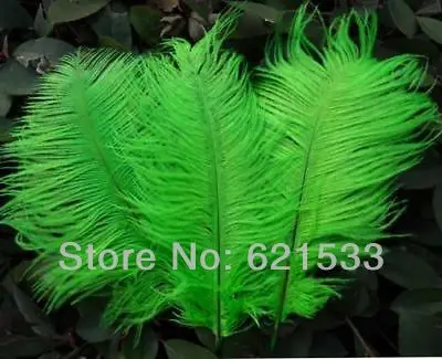 Hot sell 100PCS/lot Green pretty Ostrich Feathers 20-25cm 8-10inch Long DIY wedding costumes and hat decorations