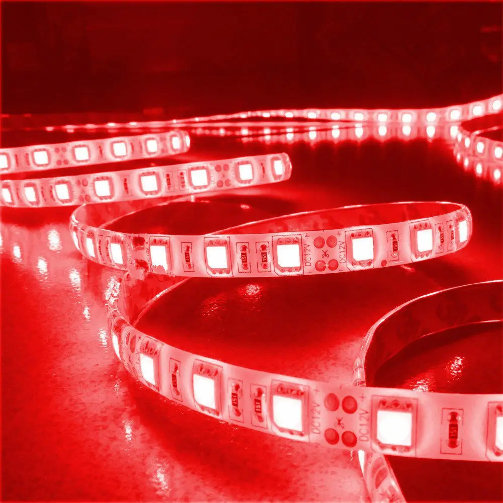 DC 24V Led Strip Light 5050 300led 5M Waterproof IP65 Cool White 6500K Warm White 3000K RGB Red Blue Green Flexible Tape Rope