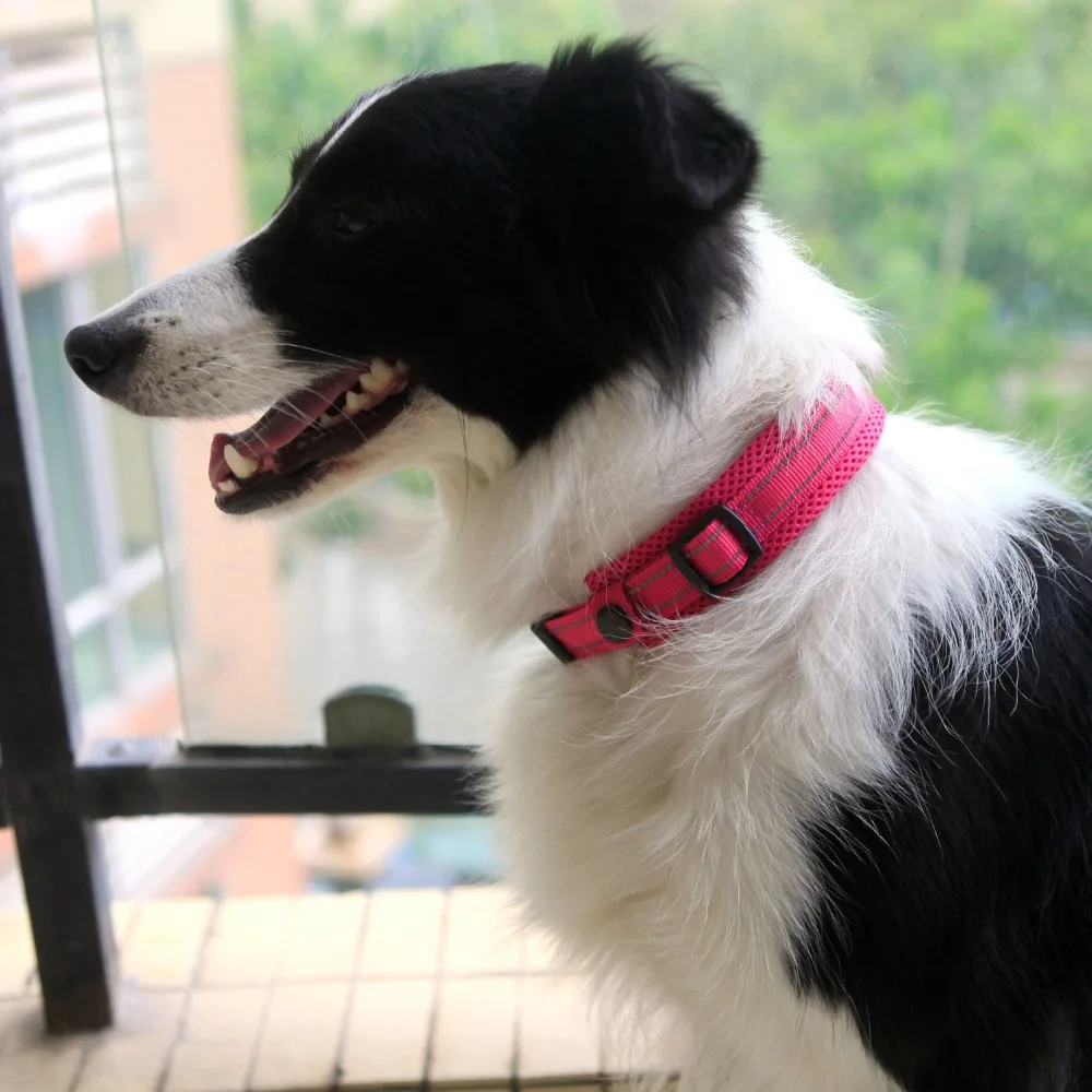 New Stylish Dog Collar Nylon Reflective Pet Collars Quick Release Dog Necklace Basic Collar with Mesh Padded Strap