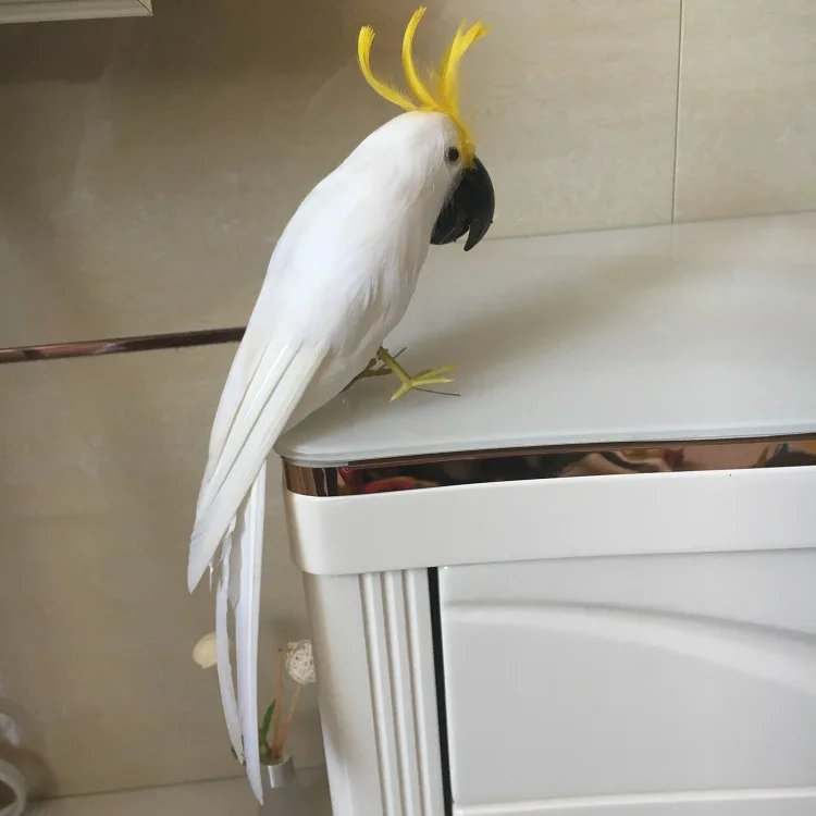 about 30cm simulation Cockatoo parrot model toy ,plastic foam&feathers white Cockatoo Bird model ,home decoration gift w5620