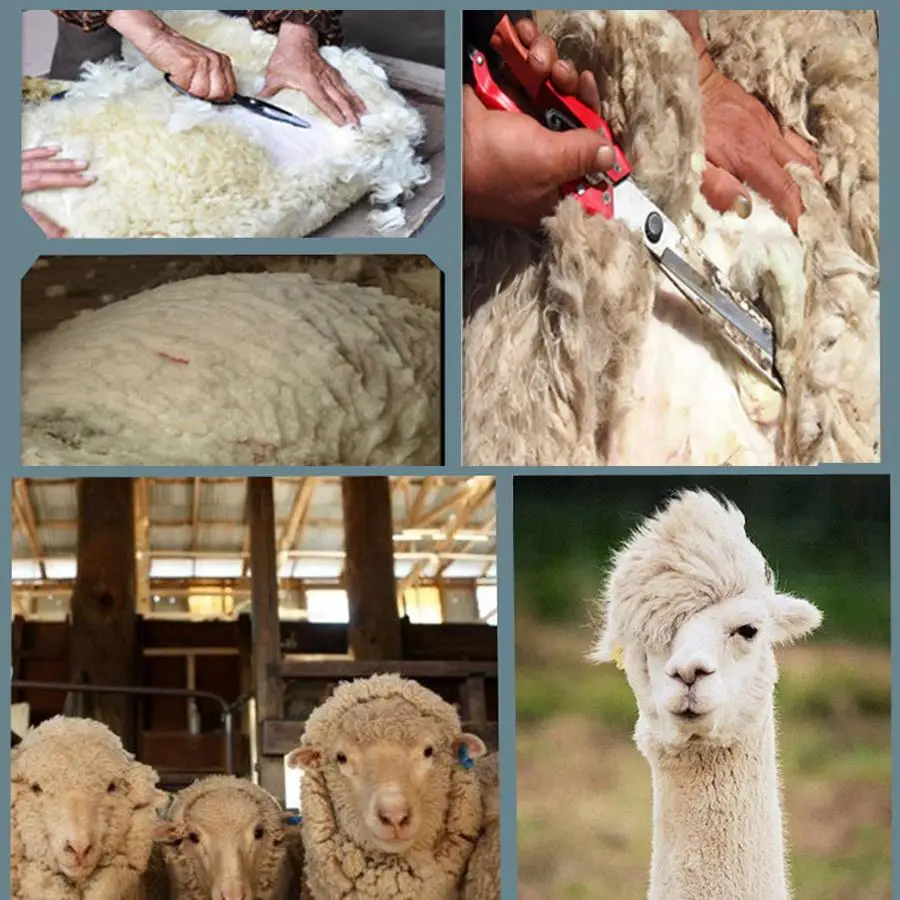 アルミボックスパッケージ最高羊コートペットの羊グルーミングウールばさみ電気クリッパーせん断機 Sheepclipper