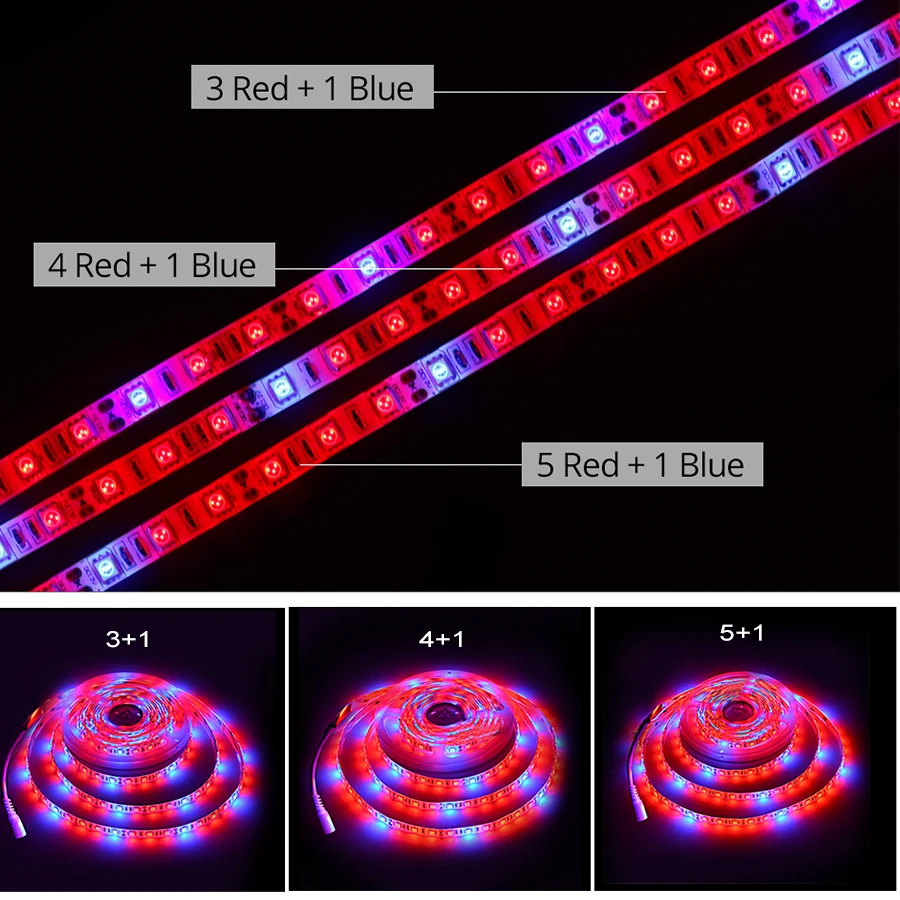 5M LED 식물에 대 한 빛 램프를 성장 5050 LED 스트립 전체 스펙트럼 성장 LED Phytolamp 식물 빛 전원 어댑터 터치 스위치