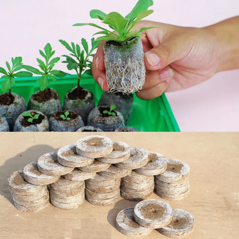 3pcs Peat Pellets Seed Starting Plugs Seeds Starter Pallet Seedling Soil Block Professional Easy To Use 3*1CM