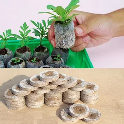 3pcs Peat Pellets Seed Starting Plugs Seeds Starter Pallet Seedling Soil Block Professional Easy To Use 3*1CM