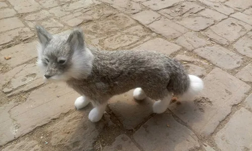 big simulation standing fox toy resin&fur gray fox model gift about 35x23cm 1406