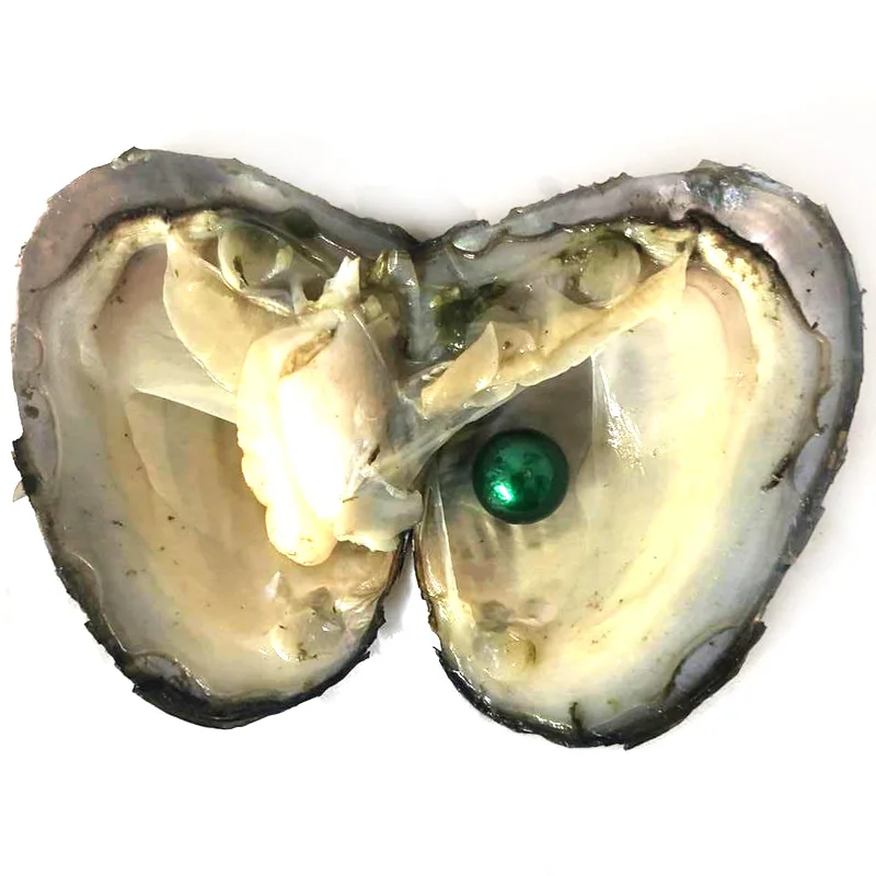 50pcs Vacuum Packed Oyster with Single Dark Green 9-10mm Natural Edison Pearl