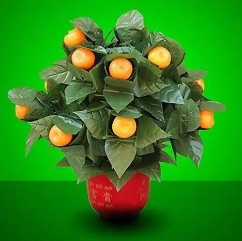 Blooming Oranges - Remote Control (10 Oranges,Battery Version) Magic Tricks Appear Vanish Magia Stage Party Wedding Prop Comedy