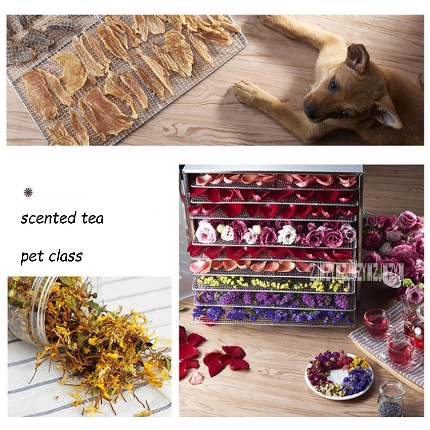 Deshidratador de alimentos ST-04 de 6 capas, secador de aire eléctrico de acero inoxidable para alimentos, verduras, carne, frutas y mascotas, 110V/220V