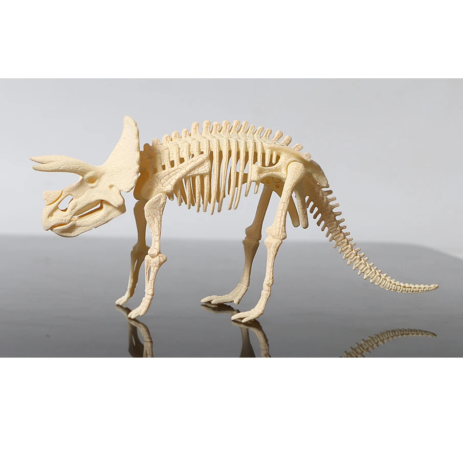 3D skeleton DIY assembly dinosaur models plastic bone toy for children,Triceratops/stegosaurus/velociraptor/mammoth for choose