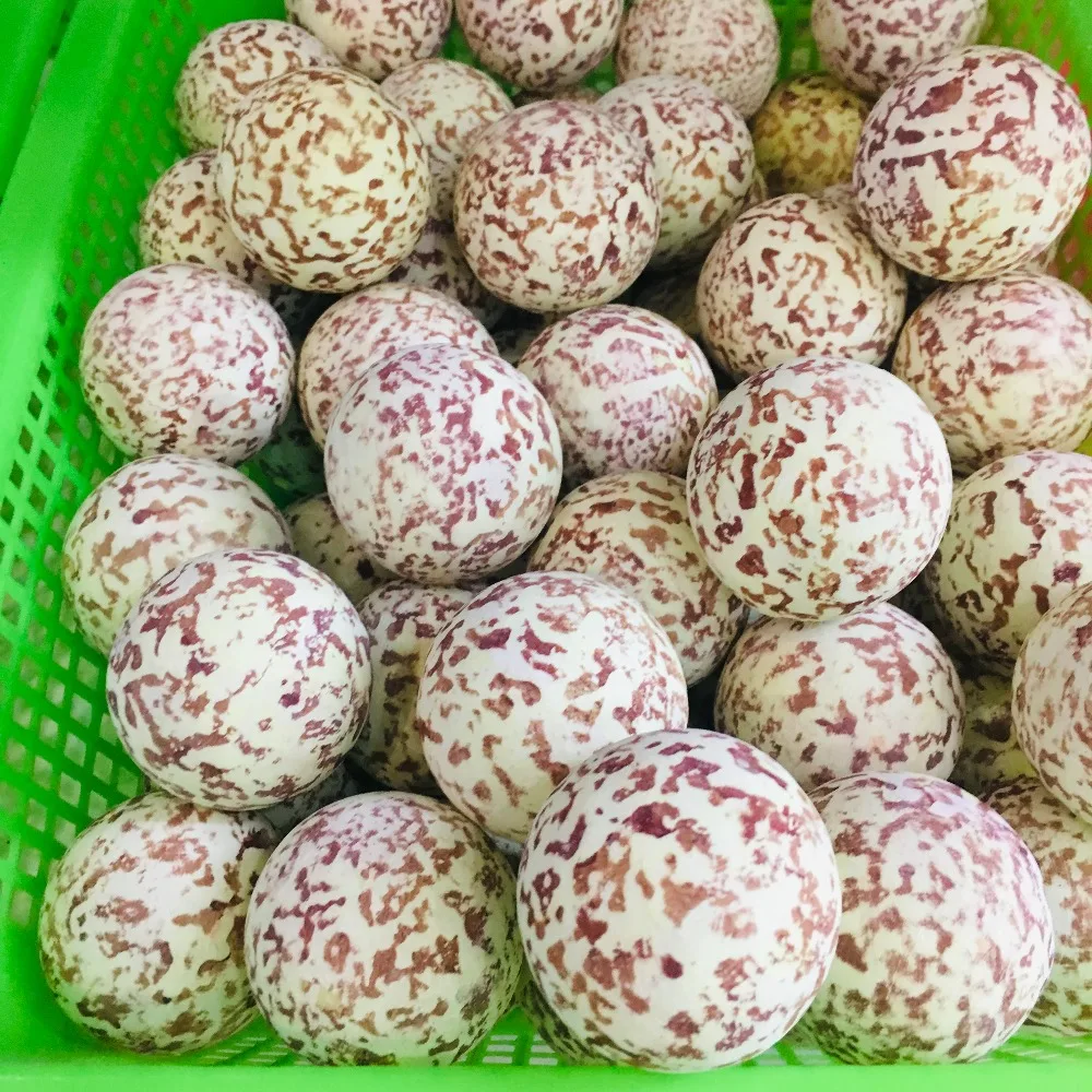 5-10cm naturalny kamień świecący niebieski świecący kwarcowy kryształowe kulki kula świecące w ciemności kamień z podstawą
