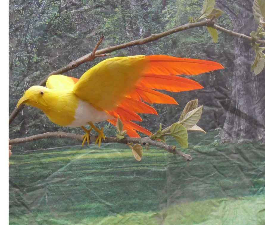 new yellow&orange simulation wings bird model foam&feather cute bird doll gift about 21cm 0967