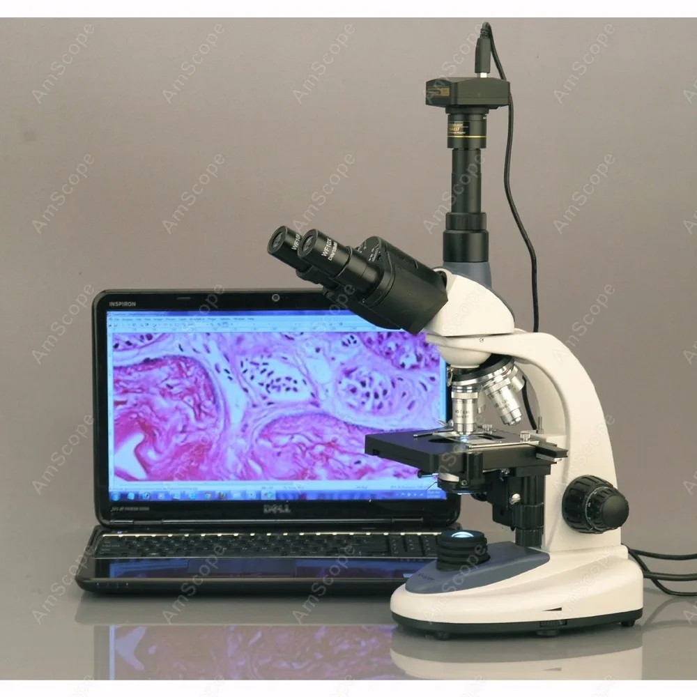 Trinoculaire Samengestelde Microscoop -- AmScope Levert 40X-2500X 3 W LED Trinoculaire Samengestelde Microscoop met 3MP Digitale Camera