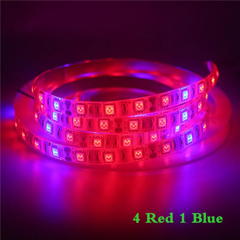 LED 식물 성장 식물 램프 풀 스펙트럼 LED 스트립 조명, SMD 5050 칩, 온실 수경 식물용 LED 강력한 성장 조명