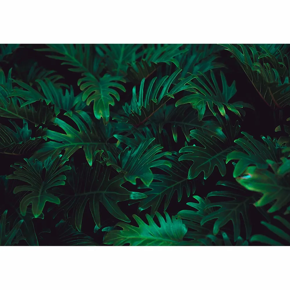 Funnytree изображением леса узора из точек и тропический зеленый экран листья природа летний день рождения джунгли вечерние тематический фон для фото