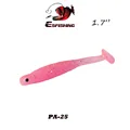 PA25