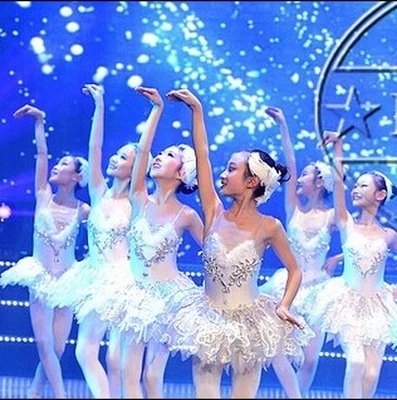 

Girls Gymnastic Leotard Ballet Dance Dress White Swan Lake Costume Ballerina Dress Kids Ballet Dress For Children Ballet Tutu